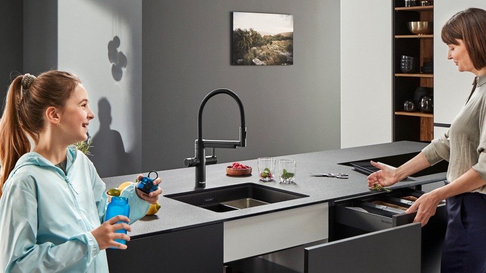 ��������� Blanco Evol-S Pro Filter ������ ������� � ������ ��� �������� ���� � ��������� ������ 526636